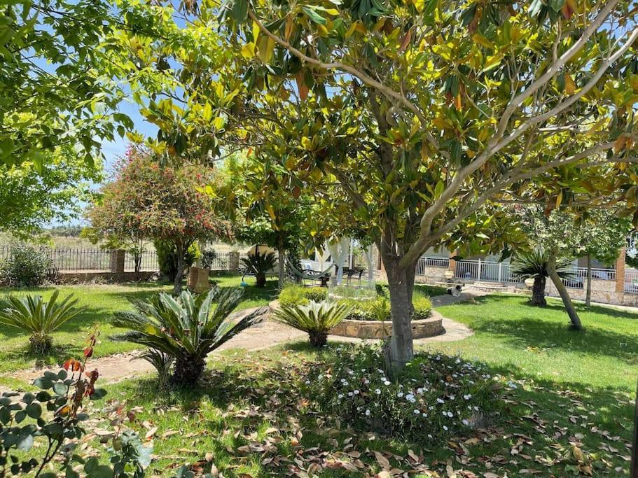 Mama'S Sunshine Garden Villa Agios Ilias  Luaran gambar
