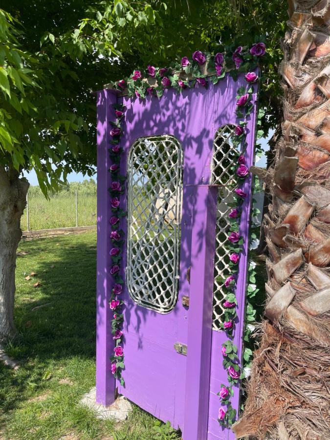 Mama'S Sunshine Garden Villa Agios Ilias  Luaran gambar
