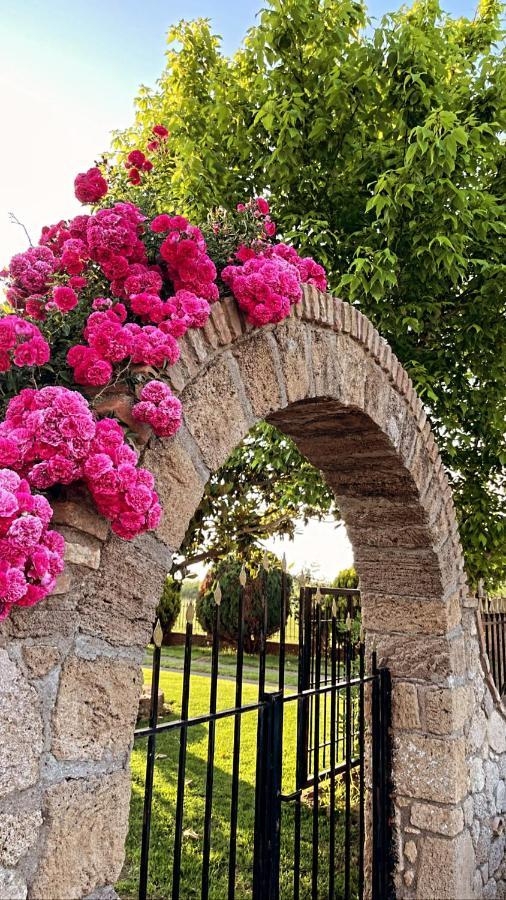 Mama'S Sunshine Garden Villa Agios Ilias  Luaran gambar